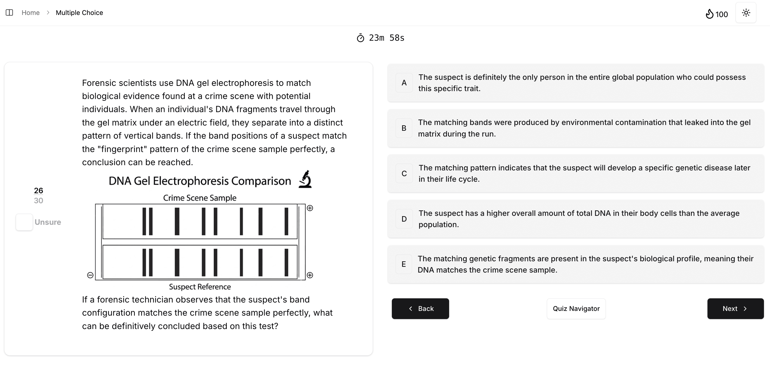 Big Brain learning platform dashboard